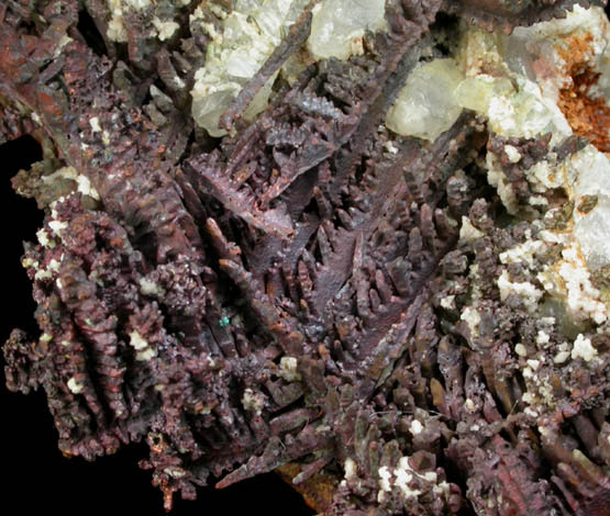 Copper (crystallized) from Quincy Mine, Hancock, Keweenaw Peninsula Copper District, Houghton County, Michigan