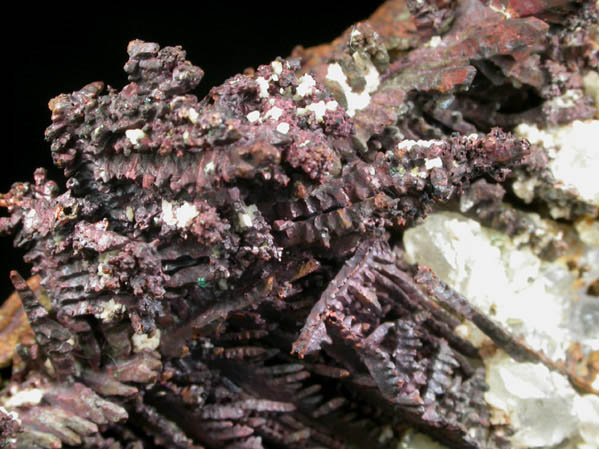 Copper (crystallized) from Quincy Mine, Hancock, Keweenaw Peninsula Copper District, Houghton County, Michigan
