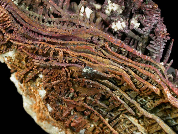 Copper (crystallized) from Quincy Mine, Hancock, Keweenaw Peninsula Copper District, Houghton County, Michigan