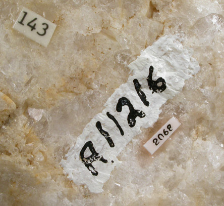 Danburite from Charcas District, San Luis Potosi, Mexico