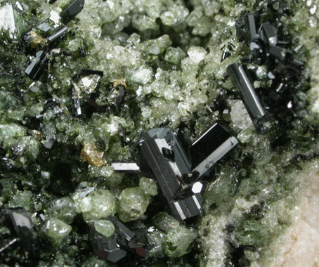 Augite with Nepheline from Mount Vesuvius, Somma-Vesuvius Complex, Campania, Italy