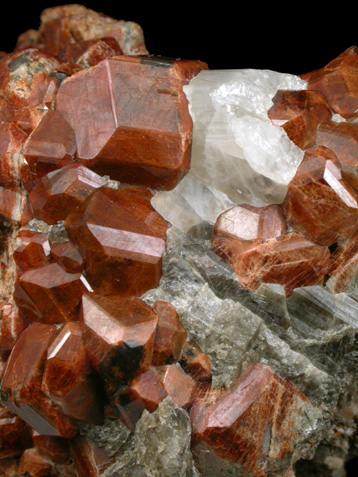 Grossular Garnet with Vesuvianite from Garnet Hill, Calaveras County, California