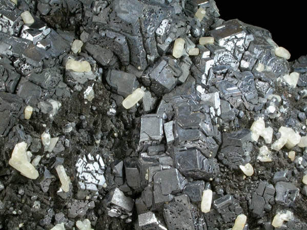 Galena, Calcite, Sphalerite, Pyrite from Casapalca District, Huarochiri Province, Peru