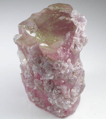 Elbaite var. Rubellite Tourmaline with Lepidolite from Himalaya Mine, Mesa Grande District, San Diego County, California