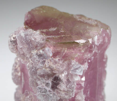 Elbaite var. Rubellite Tourmaline with Lepidolite from Himalaya Mine, Mesa Grande District, San Diego County, California