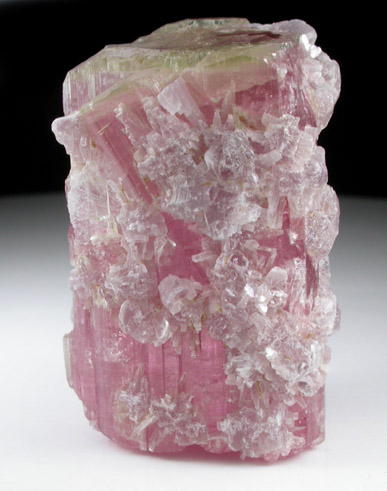 Elbaite var. Rubellite Tourmaline with Lepidolite from Himalaya Mine, Mesa Grande District, San Diego County, California