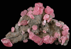 Rhodochrosite from Uchucchacua Mine, Oyon, Cajatambo, Peru