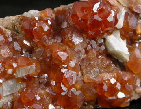 Grossular Garnet with Diopside from Val d'Ala, Piemonte, Italy