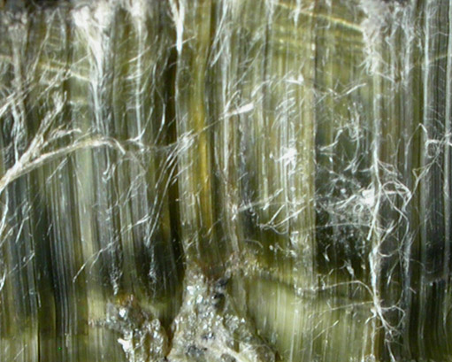 Clinochrysotile var. Asbestos from Thetford, Qubec, Canada