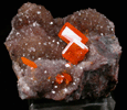 Wulfenite on Quartz from Red Cloud Mine, Red Gem Pocket, Silver District, La Paz County, Arizona