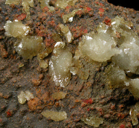 Adamite from Mapimi District, Durango, Mexico