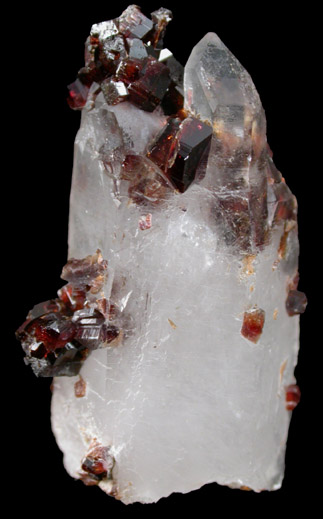 Uvite Tourmaline on Quartz from Brumado District, Serra das guas, Bahia, Brazil