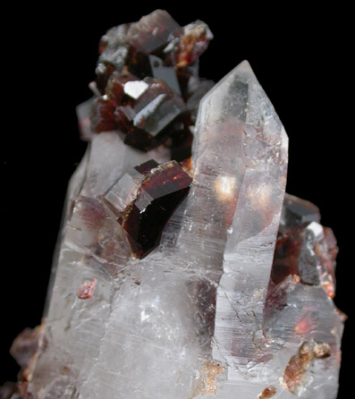 Uvite Tourmaline on Quartz from Brumado District, Serra das guas, Bahia, Brazil