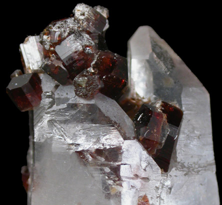 Uvite Tourmaline on Quartz from Brumado District, Serra das guas, Bahia, Brazil