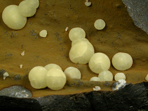 Calcite from Campomorto Quarry, Montalto di Castro, Viterbo, Italy