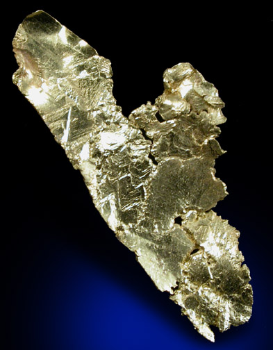 Gold (crystallized leaf) from Mount McClure Gold Mine, Leinster, Western Australia, Australia