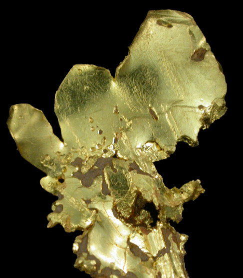 Gold (crystallized leaf) from Jamestown District, Tuolumne County, California