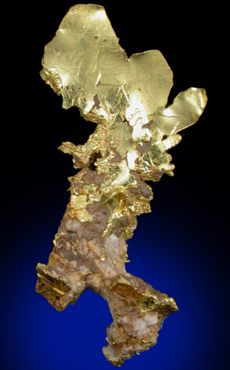 Gold (crystallized leaf) from Jamestown District, Tuolumne County, California