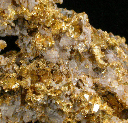 Gold and Quartz from Porcupine, Timmins District, Ontario, Canada