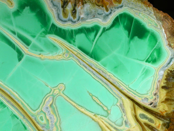 Variscite with Crandallite and Montgomeryite from Little Green Monster Mine, Clay Canyon, Fairfield, Utah County, Utah