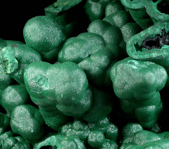 Malachite from Kolwezi Mining District, 240 km WNW of  Lubumbashi, Katanga Copperbelt, Lualaba Province, Democratic Republic of the Congo