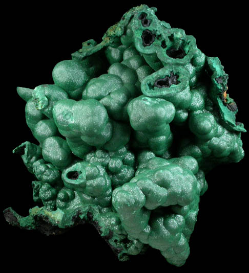 Malachite from Kolwezi Mining District, 240 km WNW of  Lubumbashi, Katanga Copperbelt, Lualaba Province, Democratic Republic of the Congo