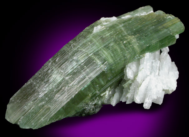 Elbaite Tourmaline with Albite var. Cleavelandite from (Gillette Quarry), Haddam Neck, Middlesex County, Connecticut