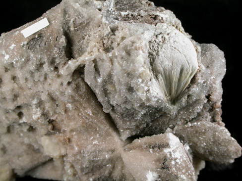 Heulandite-Ca on Calcite pseudomorphs after Pectolite with casts after Glauberite from McKiernan and Bergin Quarry, Paterson, Passaic County, New Jersey