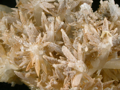 Calcite from San Antonio Mine, Santa Eulalia District, Aquiles Serdn, Chihuahua, Mexico