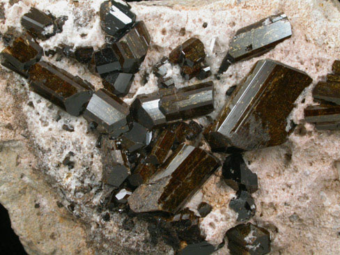 Buergerite Tourmaline from near Mexquitic, San Luis Potosi, Mexico (Type Locality for Buergerite)