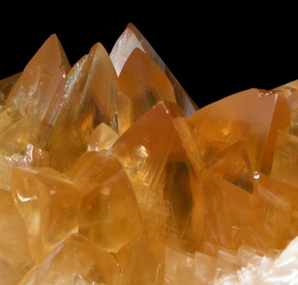 Calcite lining fossilized clam shell from Ruck's Pit Quarry, Fort Drum, Okeechobee County, Florida