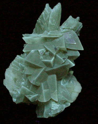 Calcite lining fossilized clam shell from Ruck's Pit Quarry, Fort Drum, Okeechobee County, Florida
