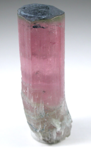 Elbaite var. Rubellite Tourmaline from Himalaya Mine, Mesa Grande District, San Diego County, California