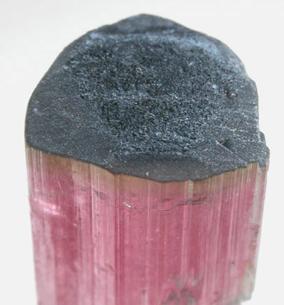 Elbaite var. Rubellite Tourmaline from Himalaya Mine, Mesa Grande District, San Diego County, California