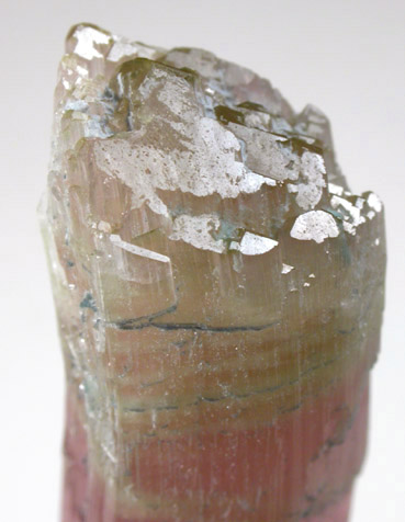 Elbaite var. Rubellite Tourmaline from Himalaya Mine, Mesa Grande District, San Diego County, California