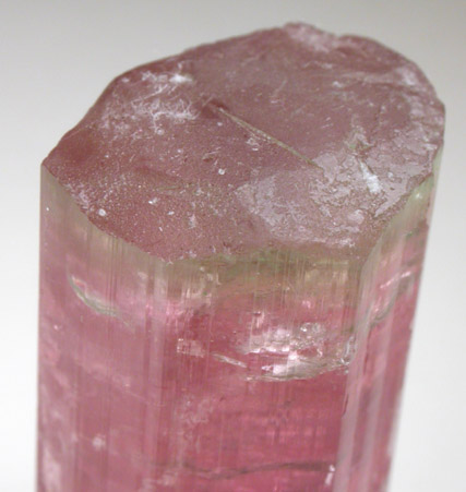 Elbaite var. Rubellite Tourmaline from Himalaya Mine, Mesa Grande District, San Diego County, California