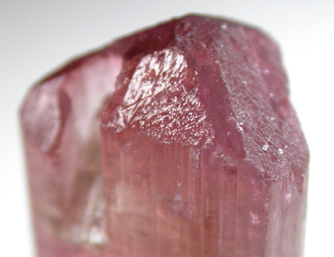 Elbaite var. Rubellite Tourmaline from Himalaya Mine, Mesa Grande District, San Diego County, California