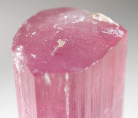 Elbaite var. Rubellite Tourmaline from Himalaya Mine, Mesa Grande District, San Diego County, California