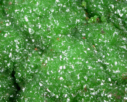 Conichalcite from Mina Ojuela, Mapimi, Durango, Mexico