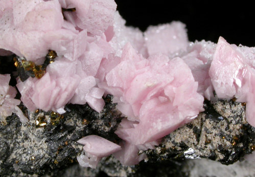 Rhodochrosite, Sphalerite, Quartz from Brooklyn Mine, Silverton District, San Juan County, Colorado