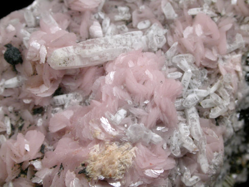 Rhodochrosite, Quartz, Sphalerite from Julie Fisk Mine, Leadville District, Lake County, Colorado