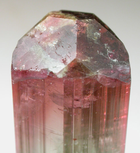 Elbaite Tourmaline from Pederneira Mine, Sao Jose da Safira, Minas Gerais, Brazil