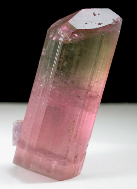 Elbaite var. Rubellite Tourmaline with Lepidolite from Himalaya Mine, Mesa Grande District, San Diego County, California