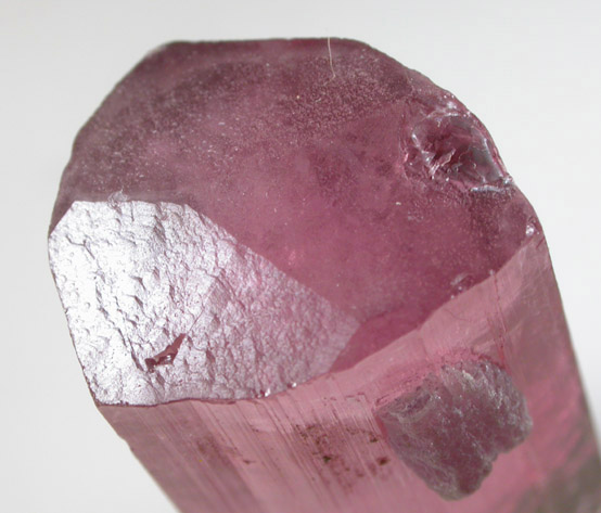 Elbaite var. Rubellite Tourmaline with Lepidolite from Himalaya Mine, Mesa Grande District, San Diego County, California