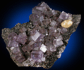 Fluorite and Calcite on Sphalerite from Rosiclare Sub-District, Hardin County, Illinois