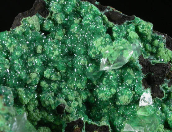 Conichalcite, Cu-rich Adamite and Calcite from Mapimi District, Durango, Mexico