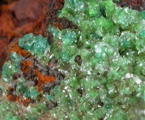 Adamite var. Cuprian Adamite with Calcite and Conichalcite from Mapimi District, Durango, Mexico