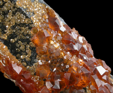 Spessartine Garnet on Smoky Quartz from Tongbei-Yunling District, Fujian Province, China