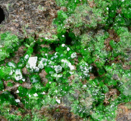 Uvarovite Garnet from Marsh's Flat District, Jacksonville, Tuolumne County, California