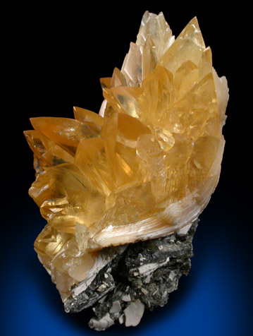 Calcite lining fossilized clam shell from Ruck's Pit Quarry, Fort Drum, Okeechobee County, Florida